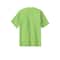 Port & Company® Essential Green Shades Adult T-Shirt